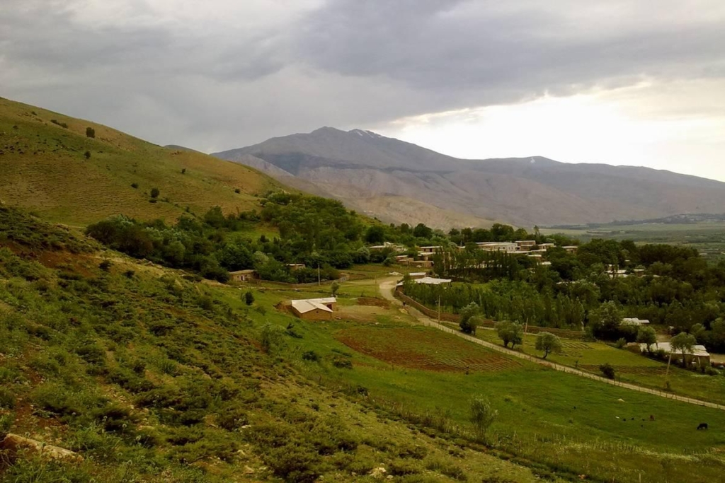 سیلوانا؛ از بهشت طبیعت تا حسرت توسعه